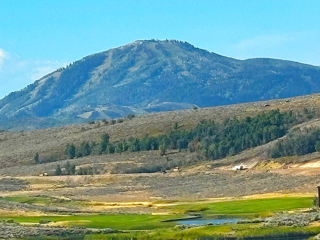 6423 GOLDEN BEAR LOOP Snyderville, UT 84098