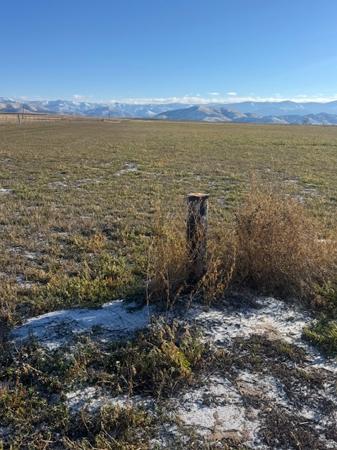 2022 N 800 W Preston, ID 83263