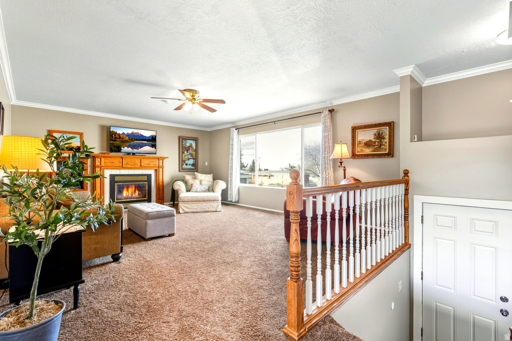 948 E 300 N Brigham City, UT 84302