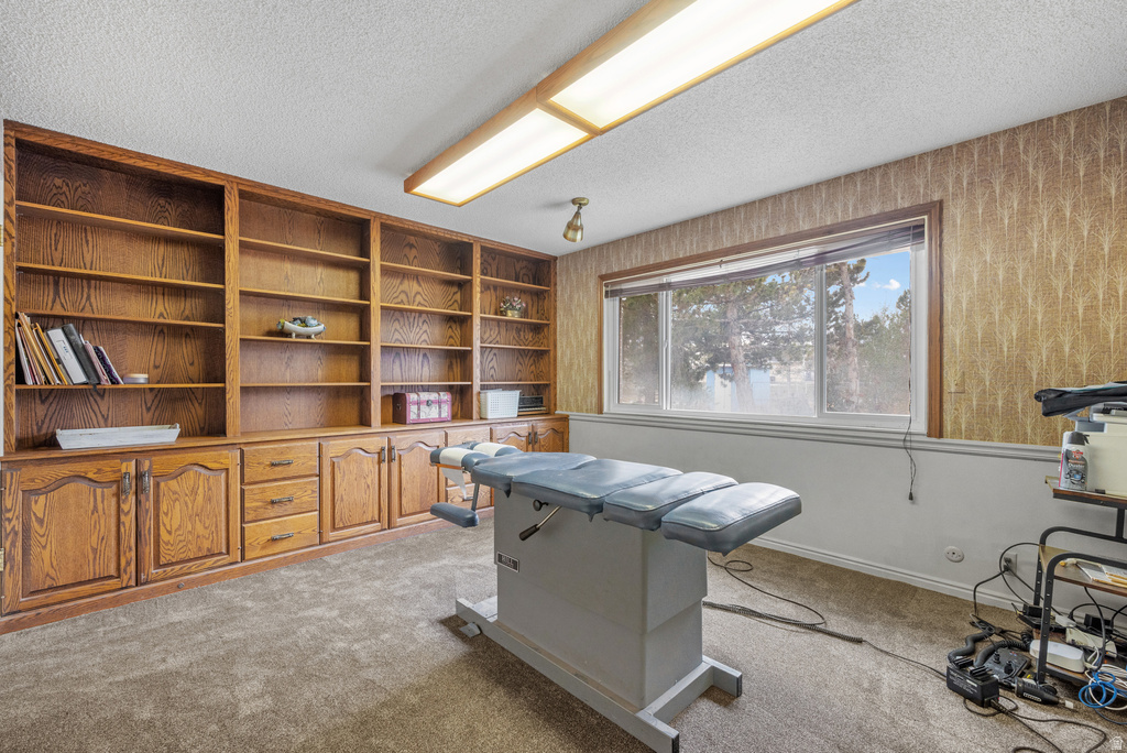 169 W 690 N Santaquin, UT 84655