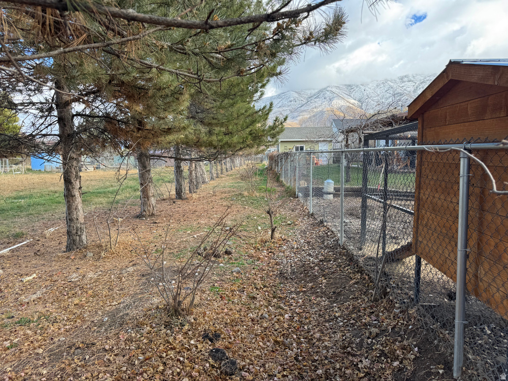 169 W 690 N Santaquin, UT 84655