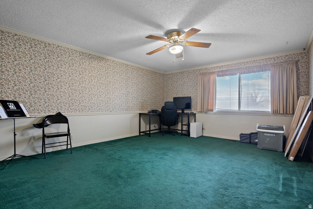 169 W 690 N Santaquin, UT 84655