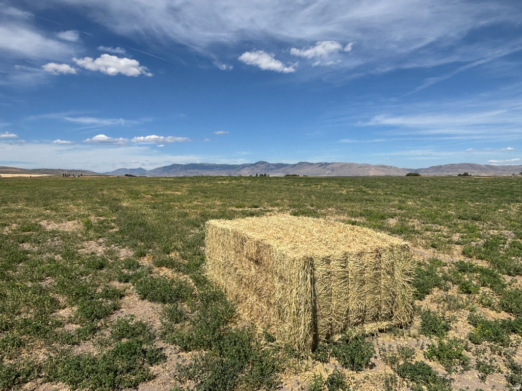 638  LANARK RD Montpelier, ID 83254