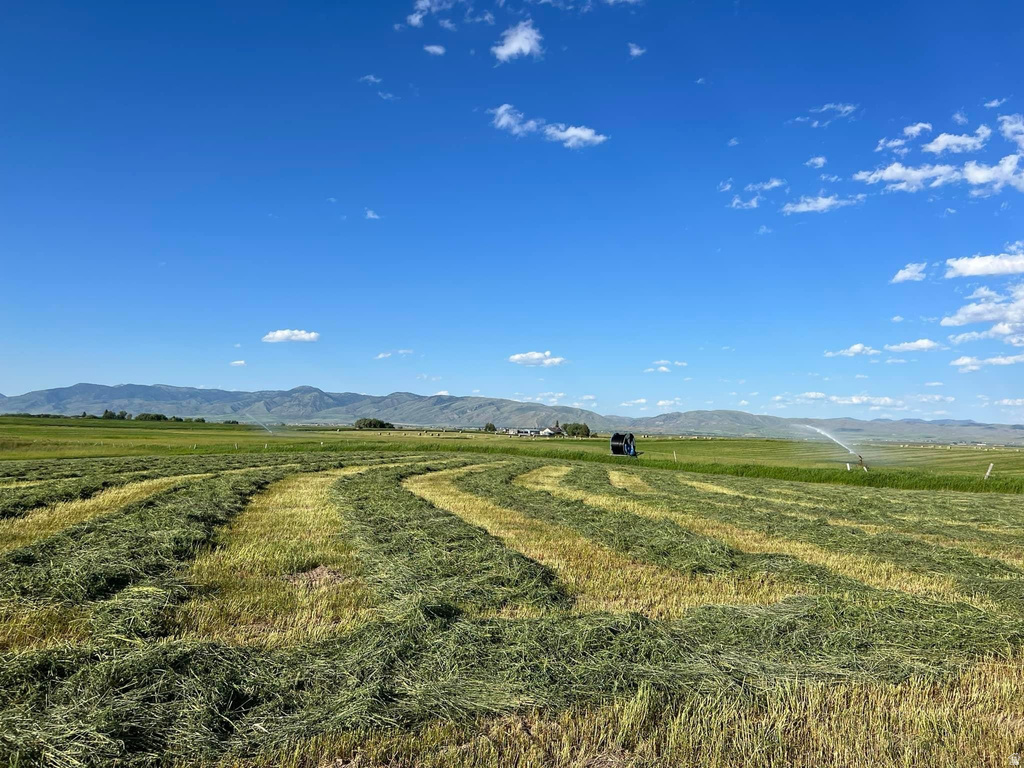 590  LANARK RD Montpelier, ID 83254