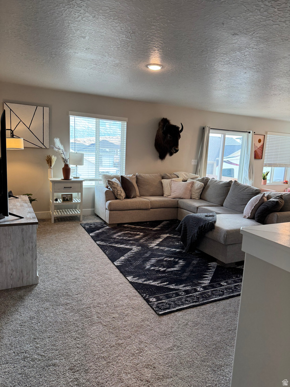 1477 S SAGEBERRY DR Santaquin, UT 84655