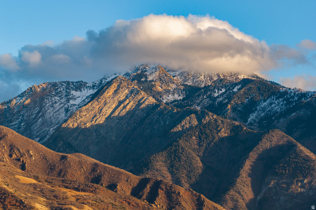 4971 S WESTMOOR RD Holladay, UT 84117