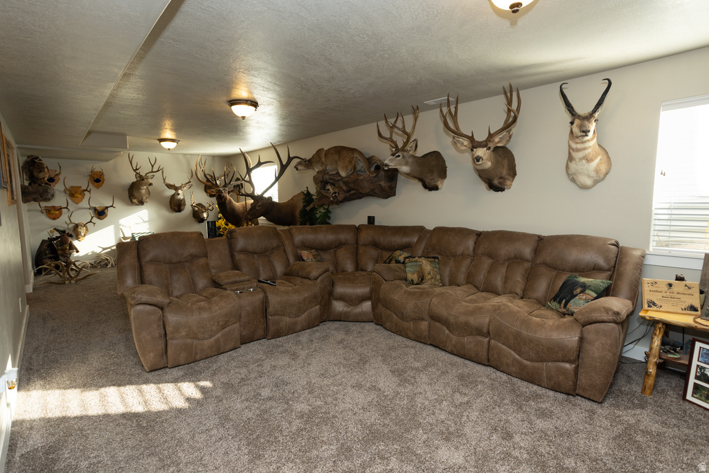 765 W 1100 S Richfield, UT 84701