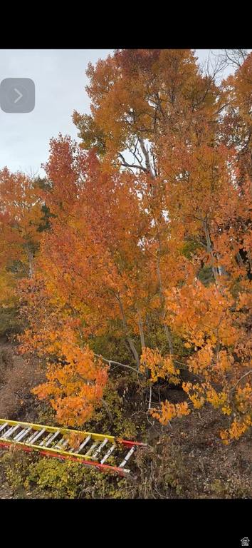 6825 E 6675 N Eden, UT 84310