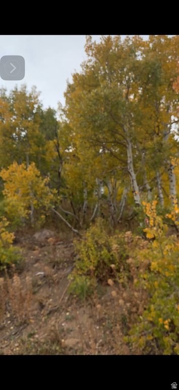 6825 E 6675 N Eden, UT 84310