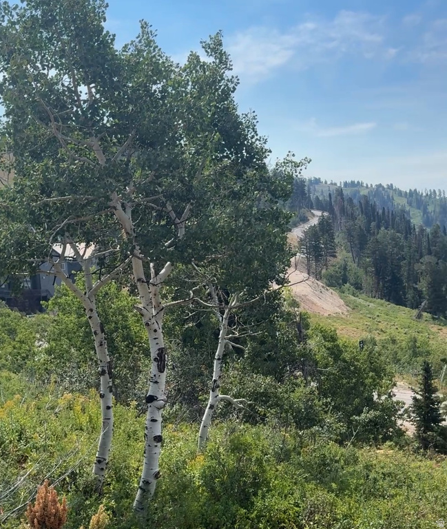 6825 E 6675 N Eden, UT 84310