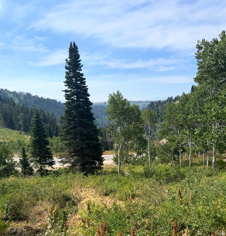 6825 E 6675 N Eden, UT 84310