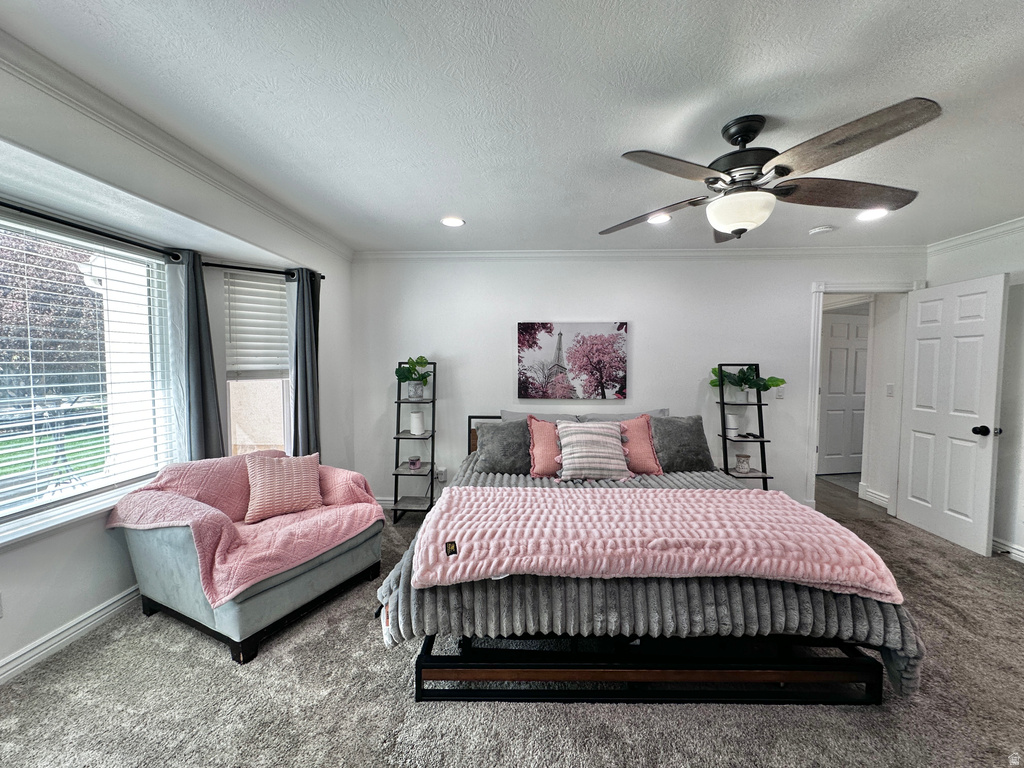 1884 TOWN AND COUNTRY RD Springville, UT 84663