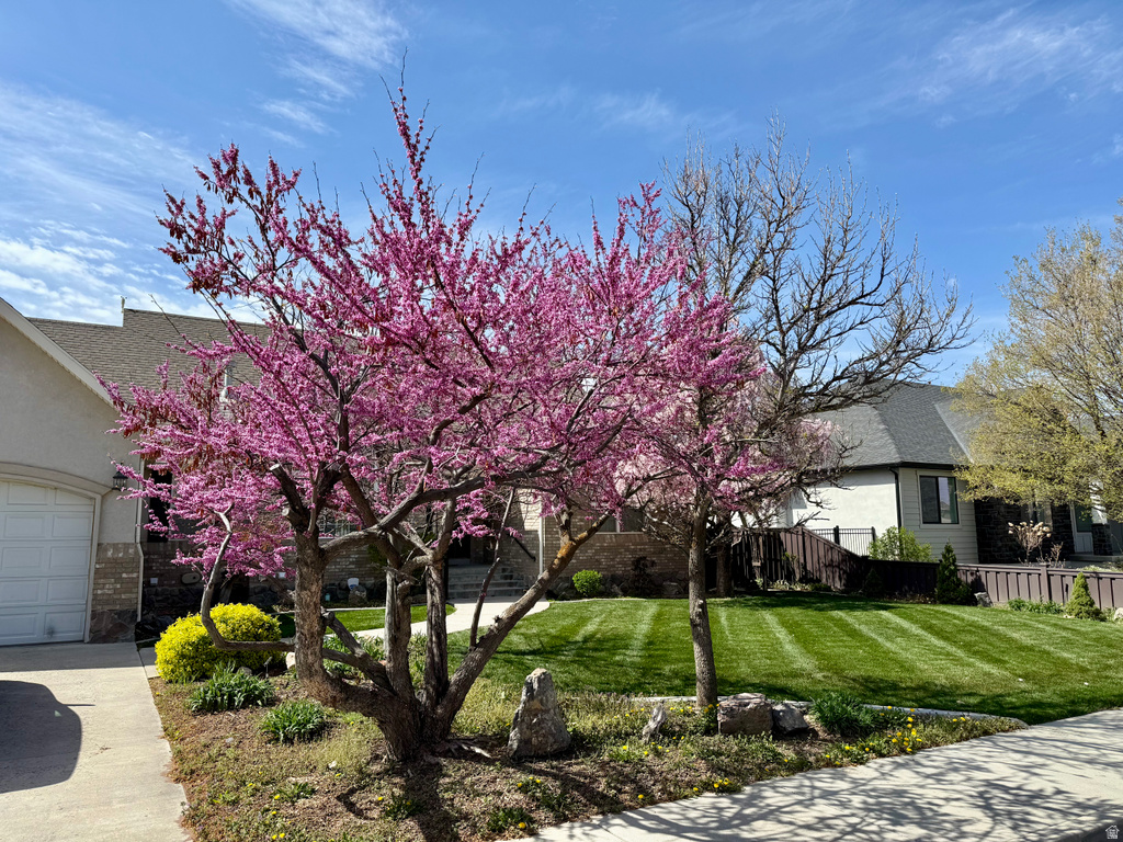 1884 TOWN AND COUNTRY RD Springville, UT 84663