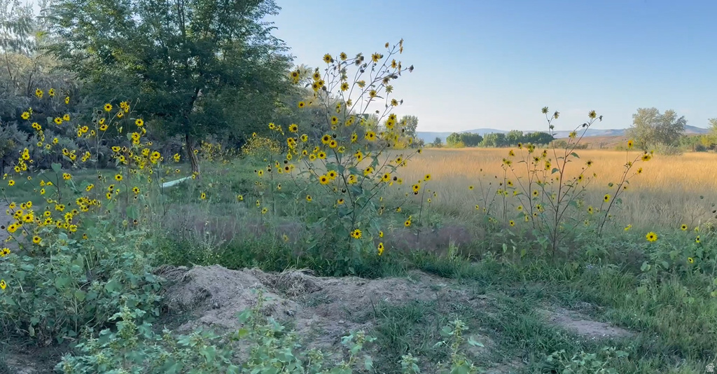 3203 S 4000 E Vernal, UT 84078