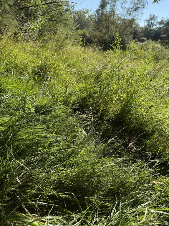 3203 S 4000 E Vernal, UT 84078