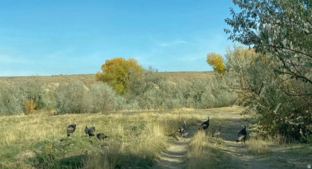 3203 S 4000 E Vernal, UT 84078