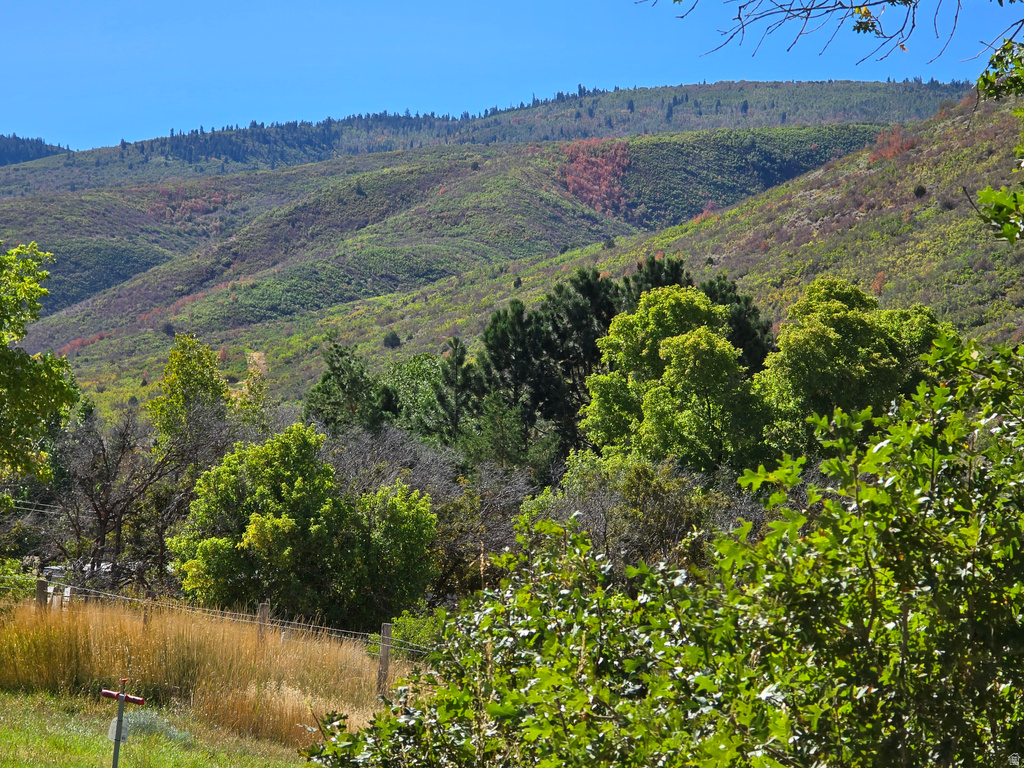 4611 S COVE LN Heber City, UT 84032