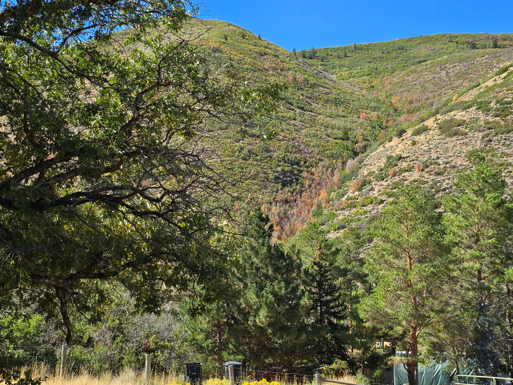 4611 S COVE LN Heber City, UT 84032