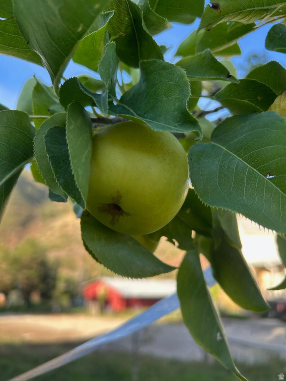 4611 S COVE LN Heber City, UT 84032