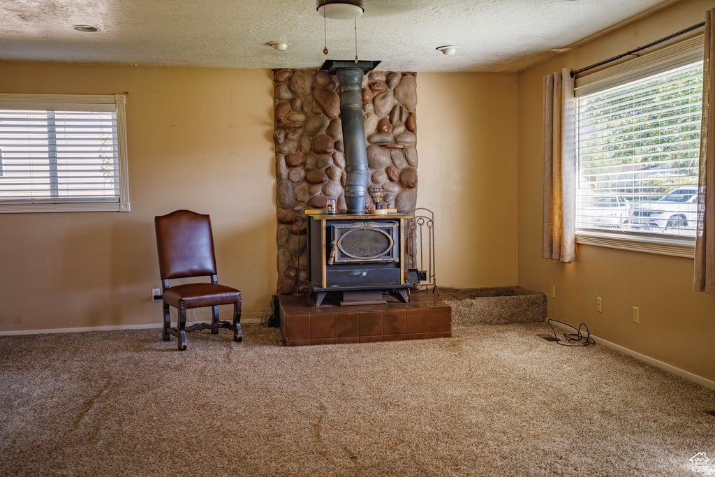 438 W 400 RES Parowan, UT 84761