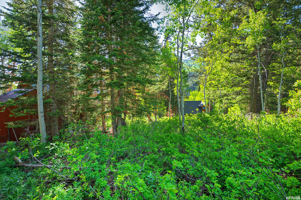 9428 E ELK HAVEN RD Brighton, UT 84121