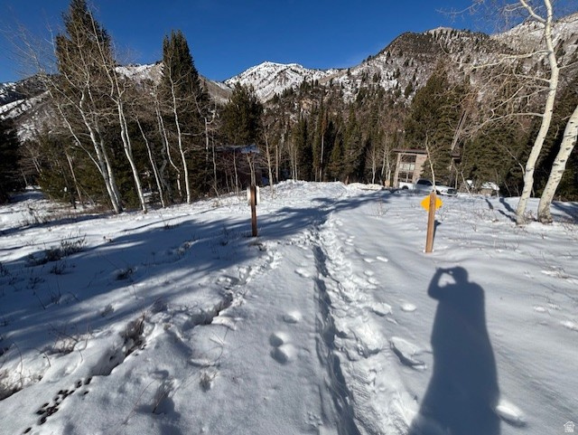 9428 E ELK HAVEN RD Brighton, UT 84121