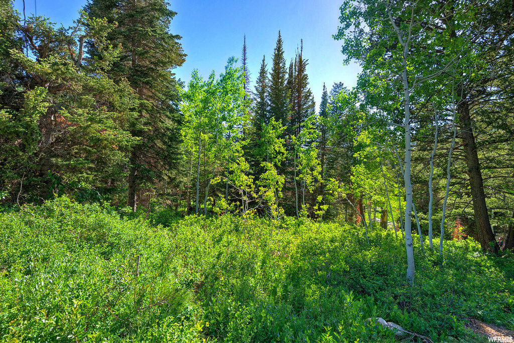 9428 E ELK HAVEN RD Brighton, UT 84121