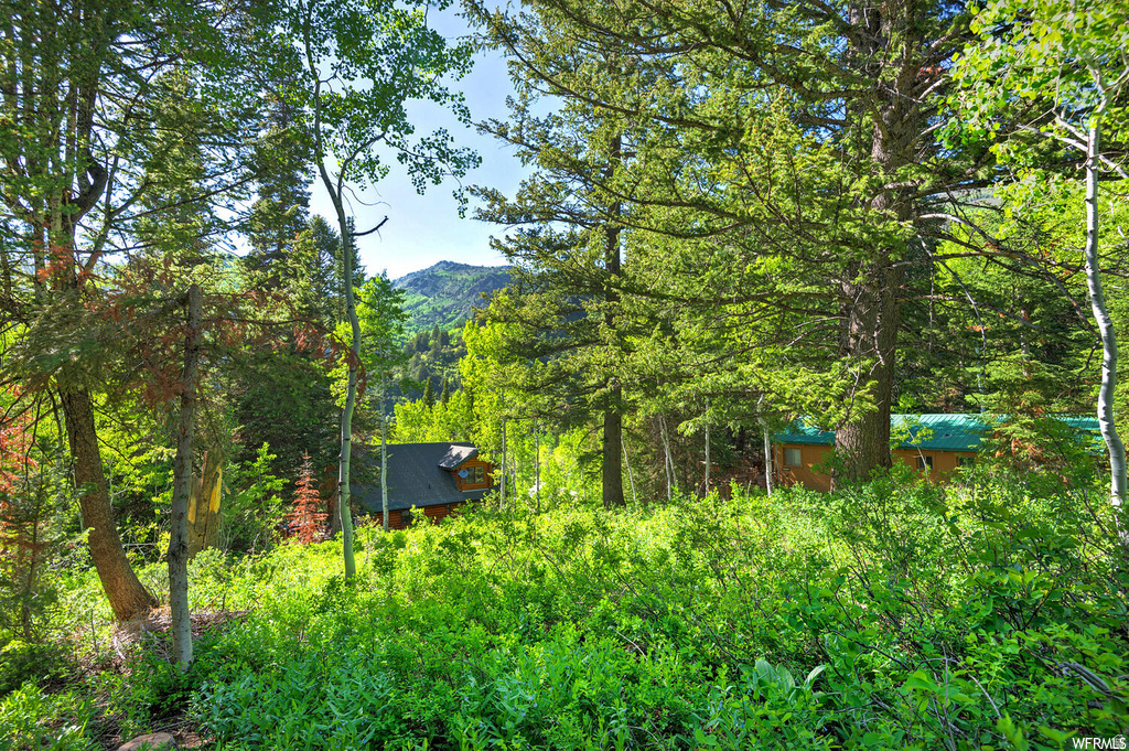 9428 E ELK HAVEN RD Brighton, UT 84121