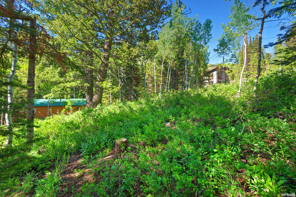 9428 E ELK HAVEN RD Brighton, UT 84121