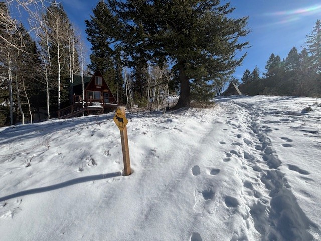 9428 E ELK HAVEN RD Brighton, UT 84121