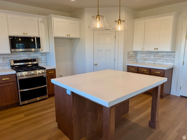 1853 N 4425 W Plain City, UT 84404