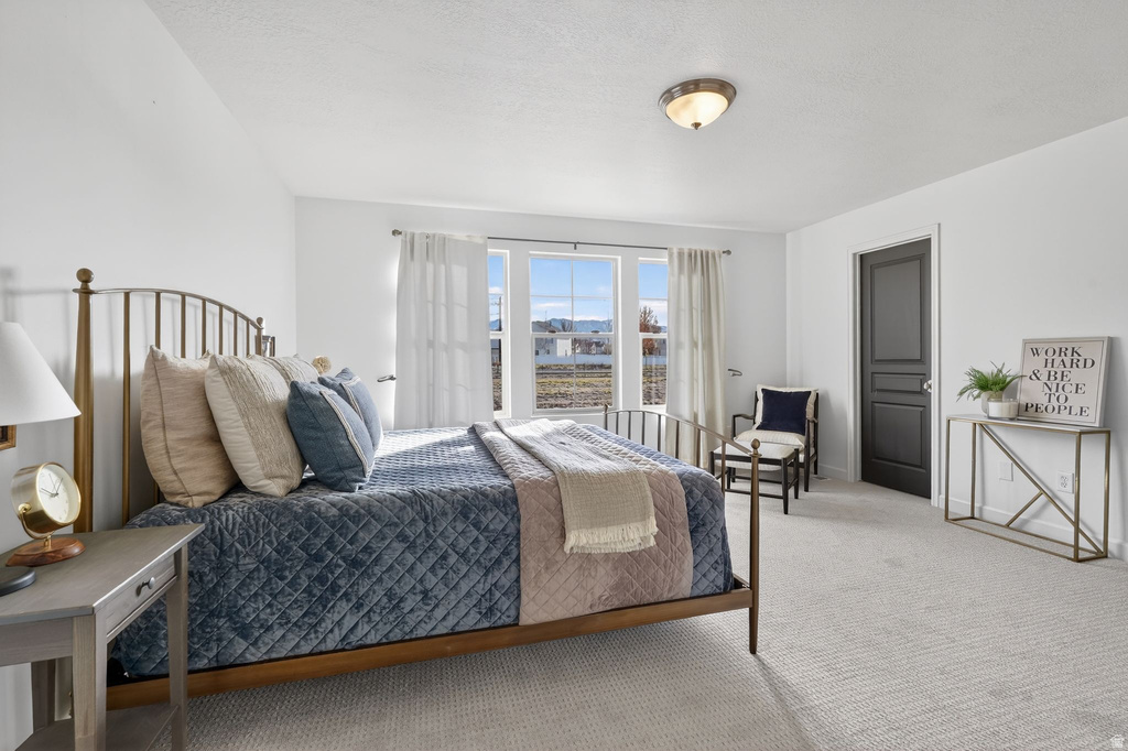 497 E FROST LN Stansbury Park, UT 84074