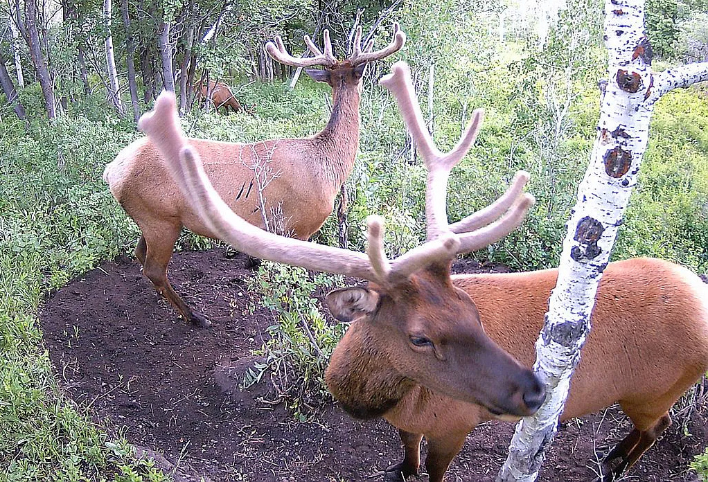 2560 S VALLEY VIEW RD Wanship, UT 84017