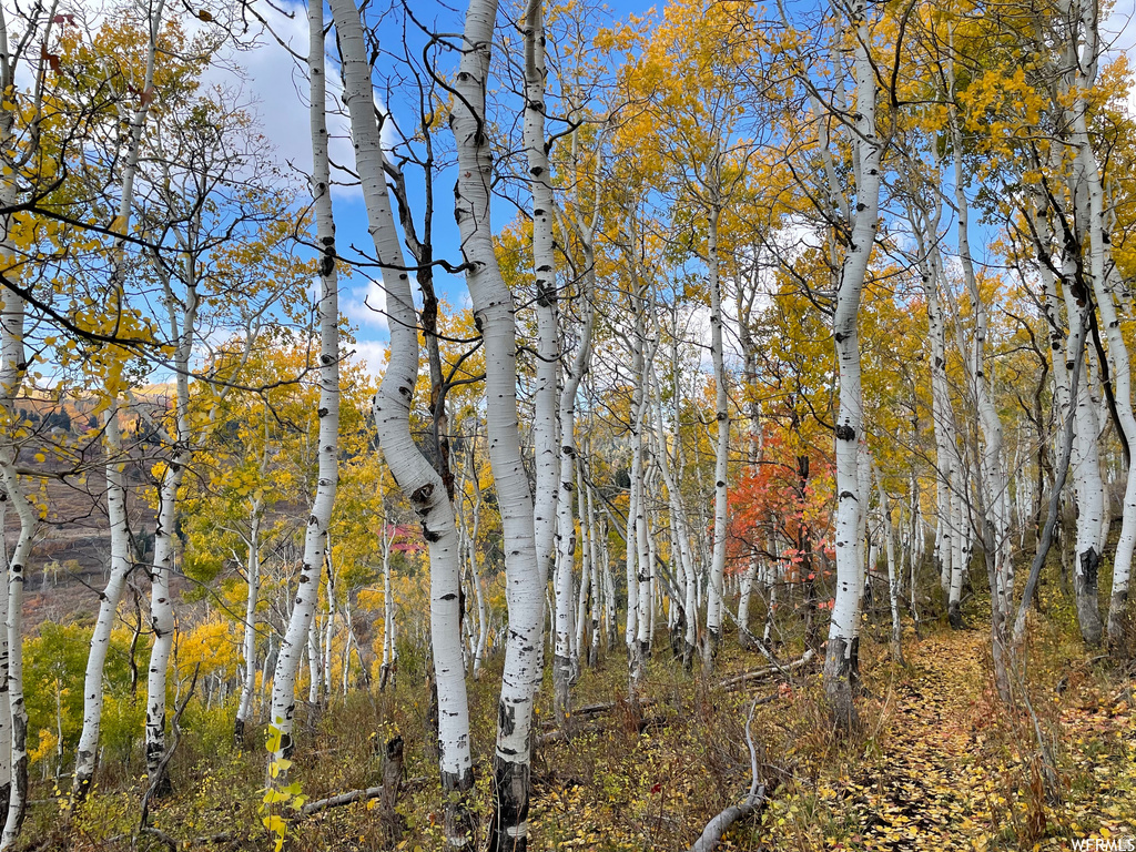 2560 S VALLEY VIEW RD Wanship, UT 84017