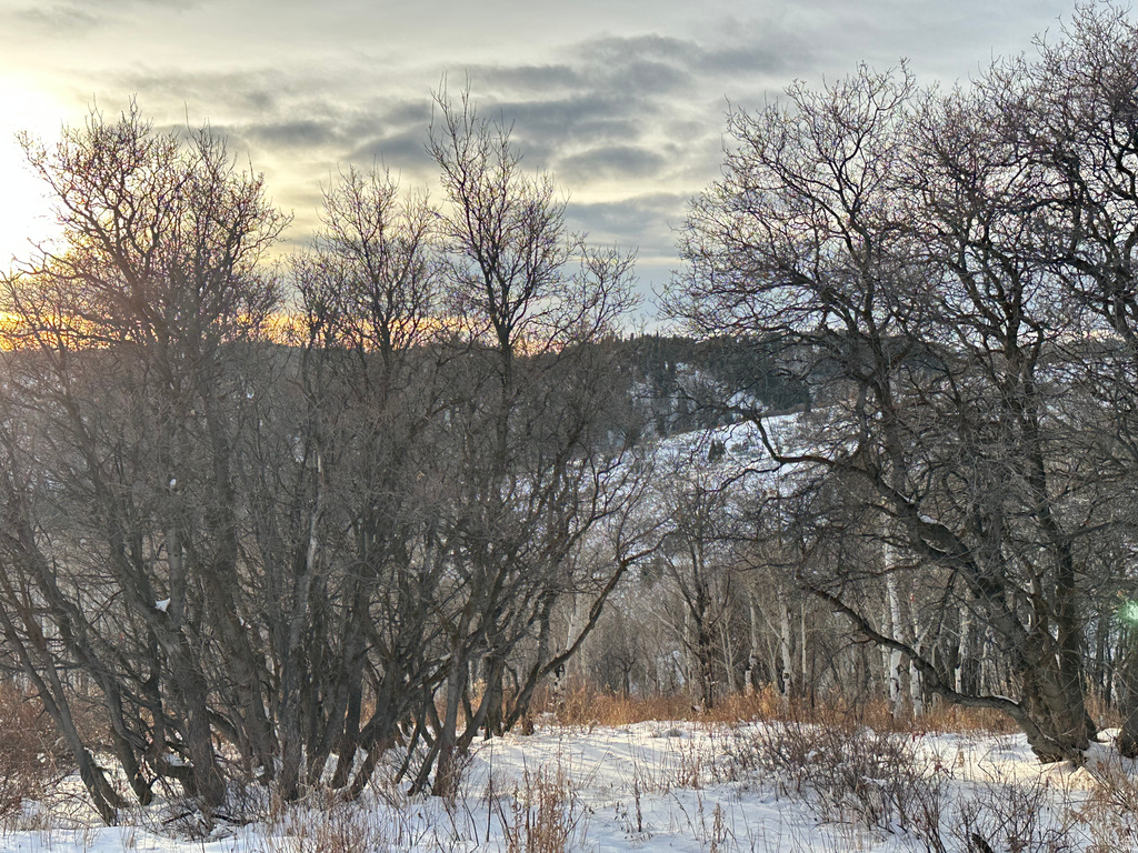 2560 S VALLEY VIEW RD Wanship, UT 84017