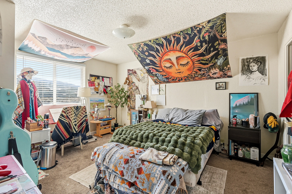 289 MOUNTAIN VIEW DR Cedar City, UT 84720