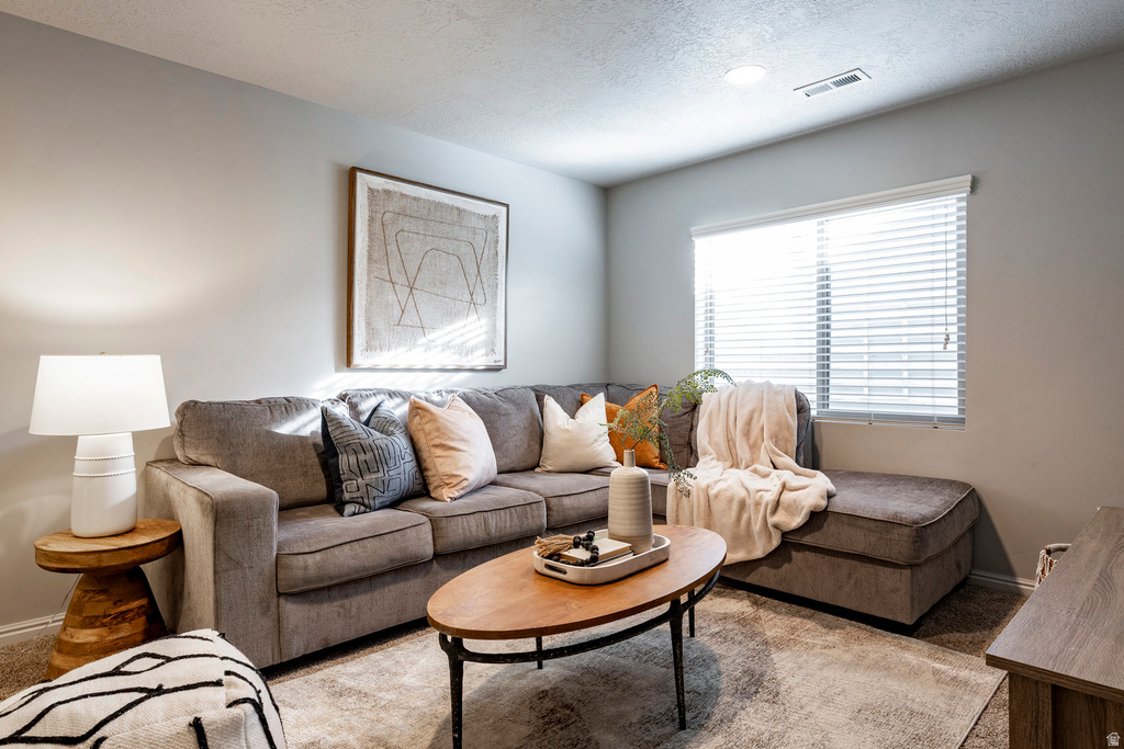 375 W MEADOW WALK DR Heber City, UT 84032