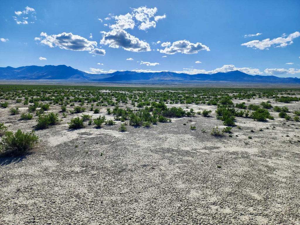 PILOT MOUNTAIN RD Grouse Creek, UT 84313