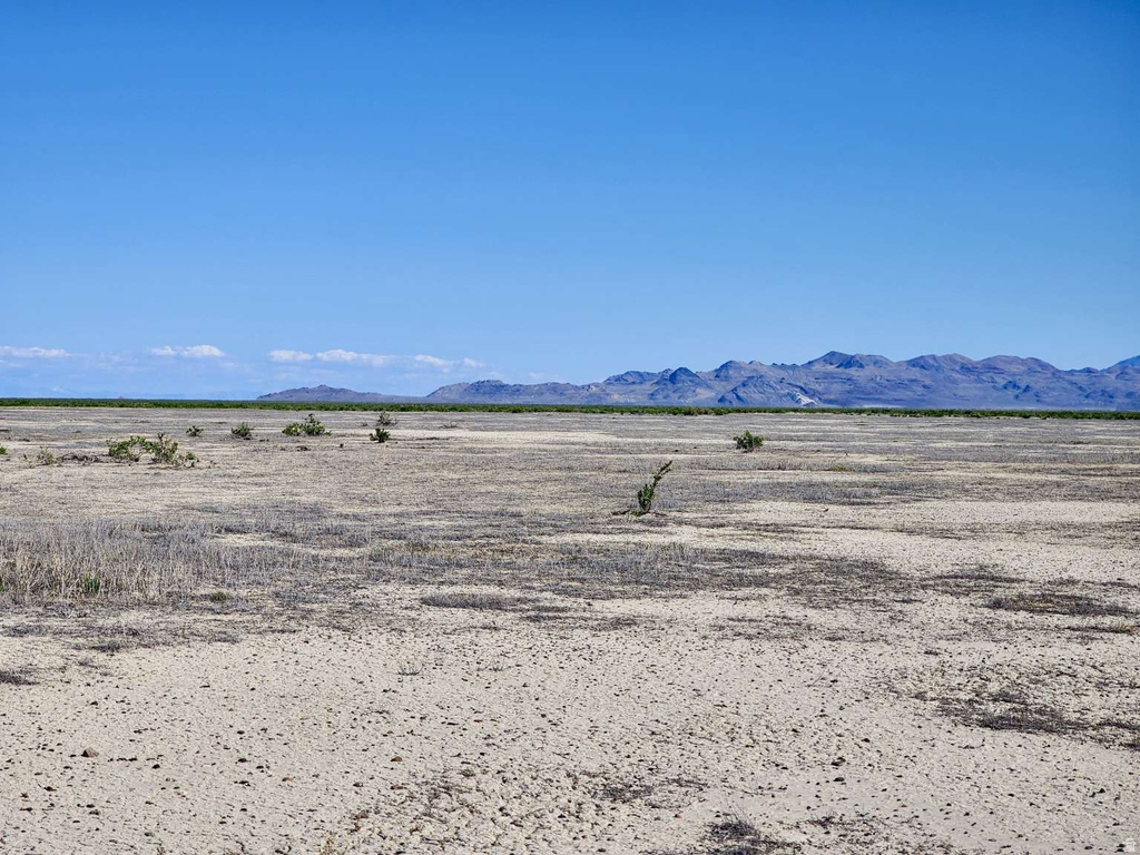 PILOT MOUNTAIN RD Grouse Creek, UT 84313