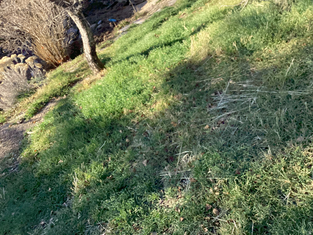 129 S GRANT ST Stockton, UT 84071