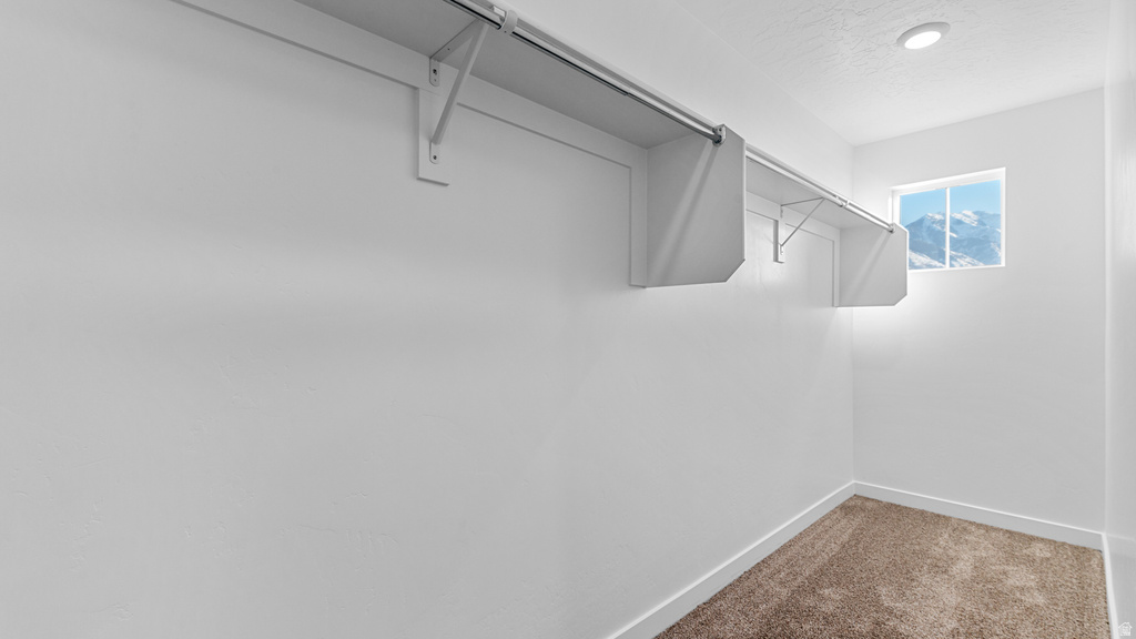 689 N 1850 E #1198 Salem, UT 84653