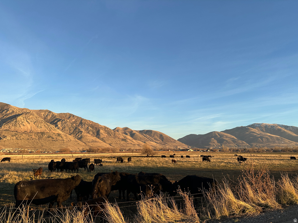 1000 W 1500 N Brigham City, UT 84302