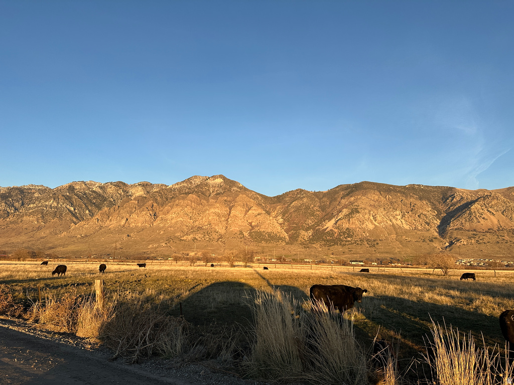 1000 W 1500 N Brigham City, UT 84302