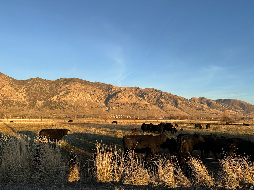 1000 W 1500 N Brigham City, UT 84302