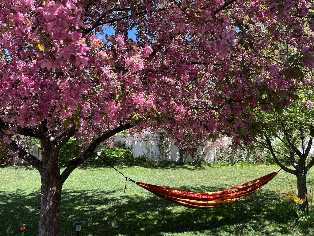 346 W 625 N Lindon, UT 84042