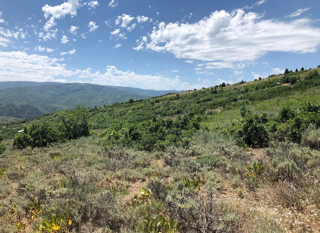 3474 N LIVE OAK RD Huntsville, UT 84317