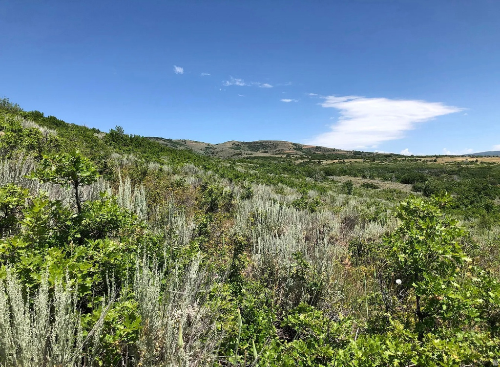 3474 N LIVE OAK RD Huntsville, UT 84317