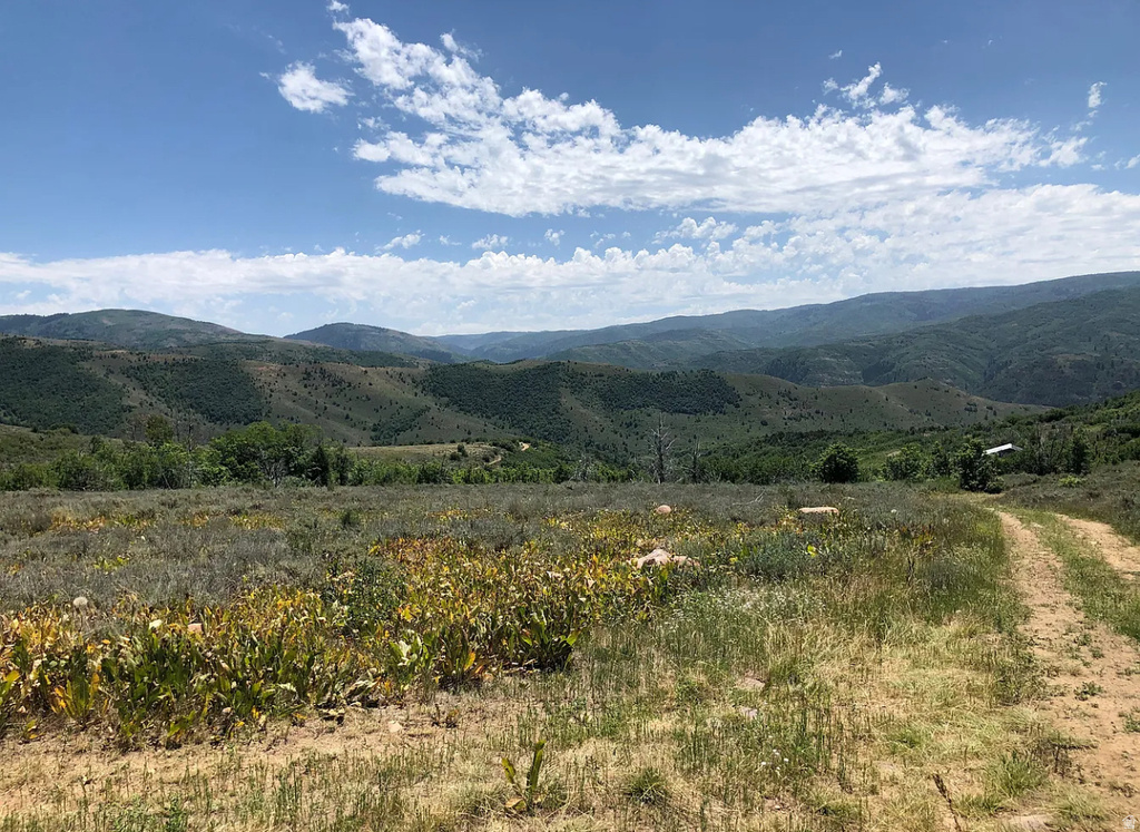 3474 N LIVE OAK RD Huntsville, UT 84317