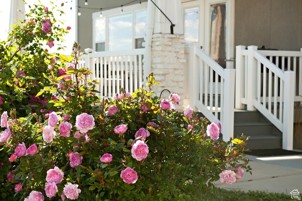 224 S DRY CREEK LN Vineyard, UT 84058