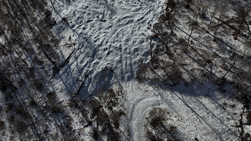 10215 N BASIN CANYON RD Park City, UT 84098